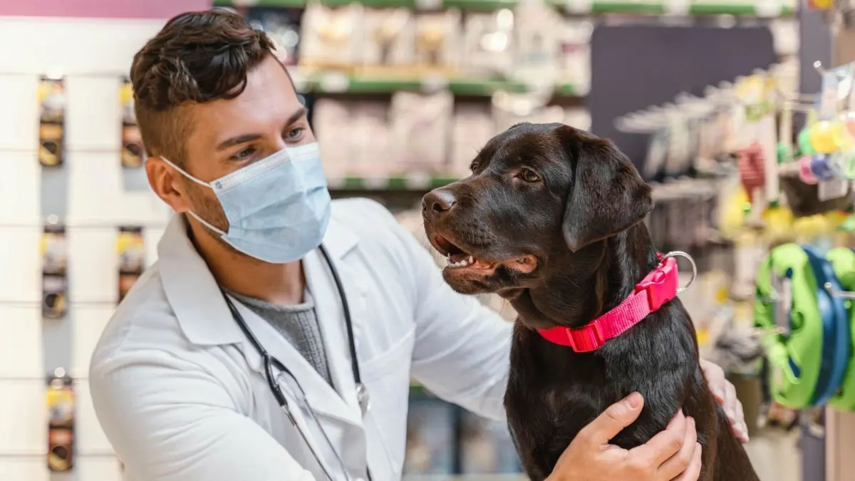 Marketing Digital para Clínicas Veterinárias: Como Atrair Mais Clientes e Aumentar o Faturamento